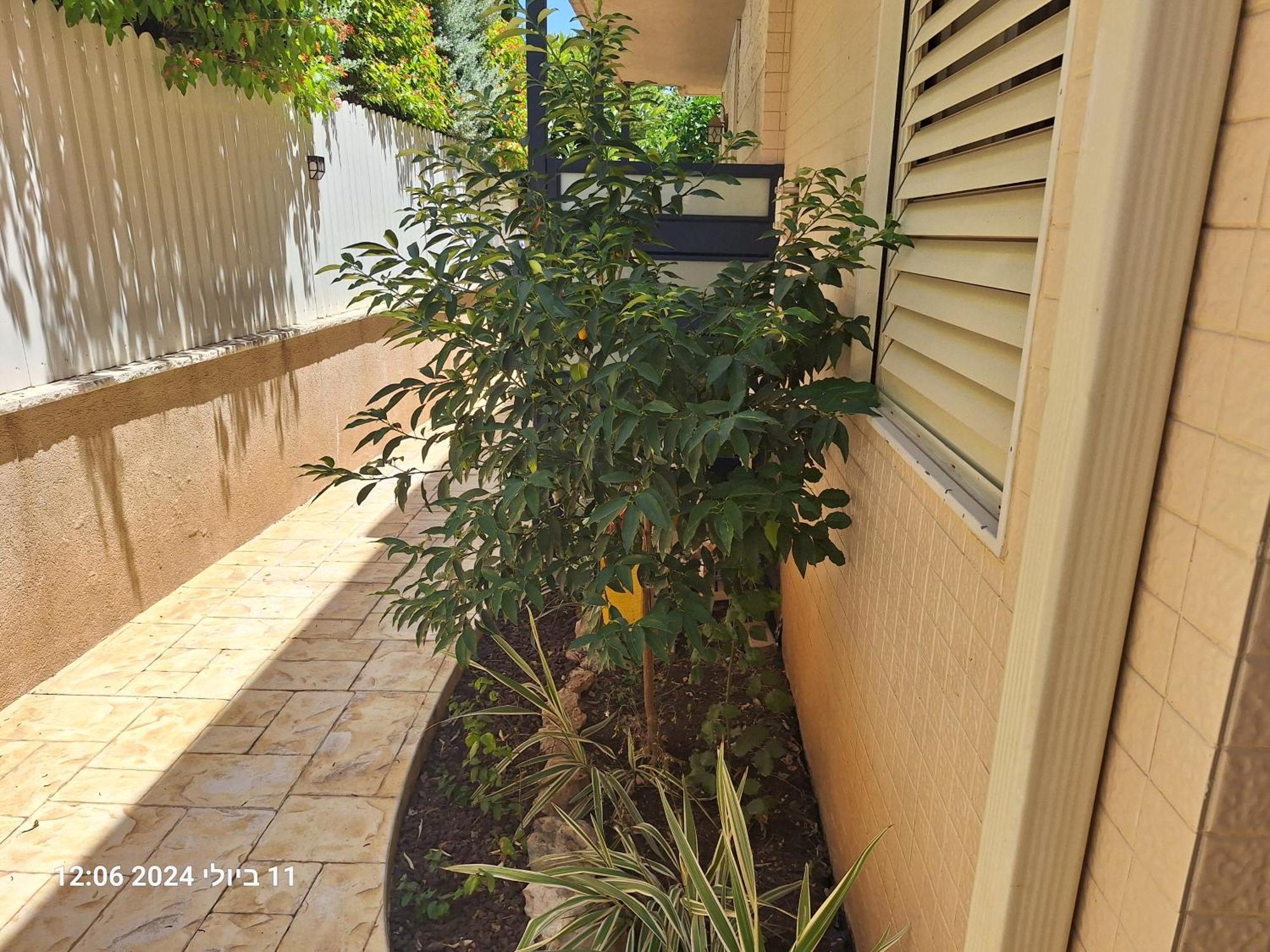 הבית הירוק Hotel Karmiel Exterior foto